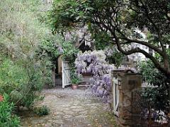 183 D36 LE LAVANDOU_000045